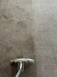 Before & After Lounge (Medium)