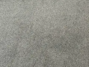Kitchen Area - carpet looking (Medium)