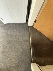 Before and After Carpet CLean (Medium)