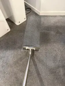 Carpet Clean work in progress8 (Medium)
