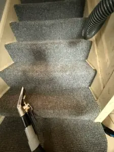 Stairs Carpet Clean - After (Medium)