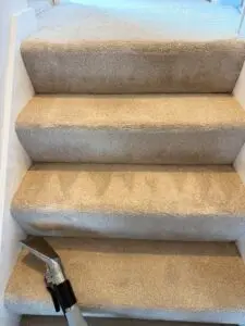 Stairs carpet clean results (Medium)