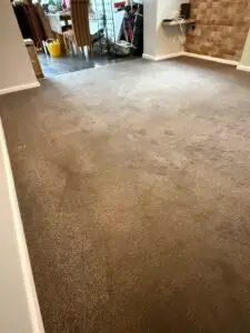 After Dog Urine clean (Medium)